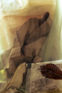 Untitled © Davide Weber