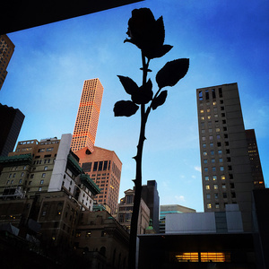 NYC from MoMA