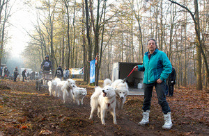 Feature on Mushing Holland sleddog competition