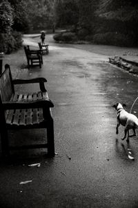 Happy walk