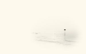 Games © Roberto Spotti