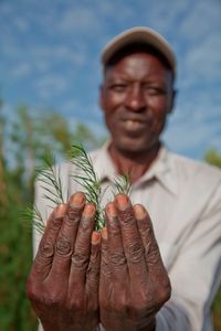 Organic tea tree farmer in Kenya showing plant