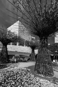 Getty Center gardens | Los Angeles, California.