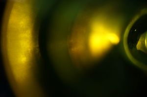 If you see the light at the end of the tunnel don't question why it exists just keep going towards it. ( loose interpretation from Victor Pelevin)