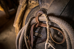 Traditional Tools of the Trade