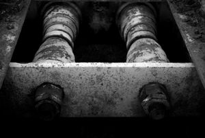 Rollers, Cyprus
