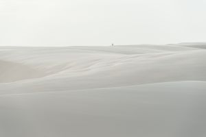Walking away on the silky desert