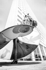 Rotterdam "Carnaval"