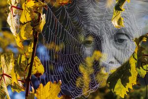 Trapped by Time