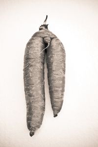 carrot