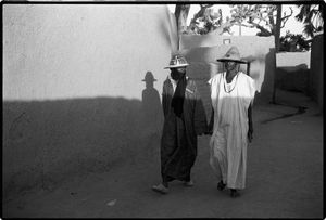 Walking home, Diafarabe, Mali              © Betty Press