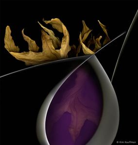 Confluence 11 © Kim Kauffman