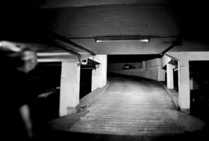 THE WAY UP