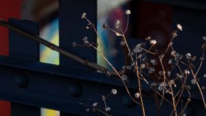 Urban Nature IX