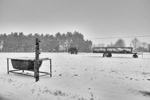 Torhout, January 201