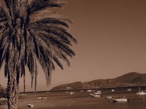 Porto Rafti_5
