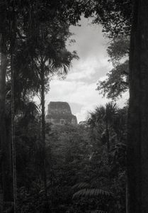 The Lost World