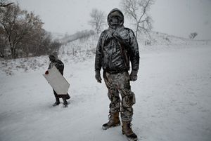 The Protectors