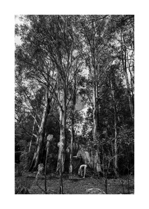 Human Nature- Namadgi - Australia #7