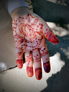 Humera's Palm