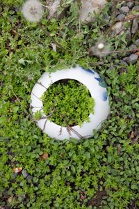 POTTERY IN THE GARDEN
