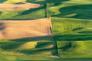 Palouse, WA. Study #17                        (47 1.8030N - 117 17.6555W)