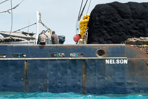 Impact of overfishing #22