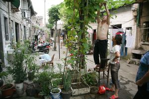 Lane life in Jiangnan102