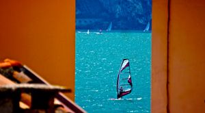 windsurfer