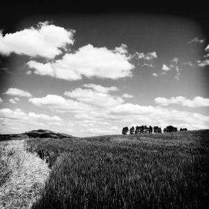 Crop Line