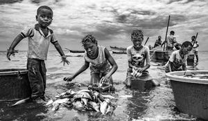 The wash of the fish III