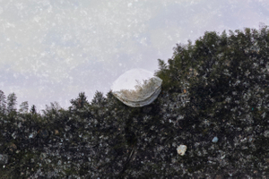 《赋山水》