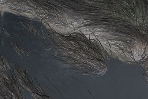 'The wettest and coldest spot near the cliff', 1st version.