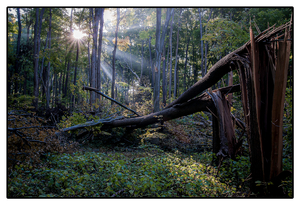 Kalamazoo Nature Center 2014b