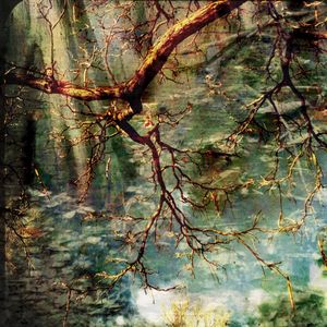 Winter Solstice
