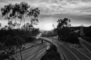 Eagle Rock, CA