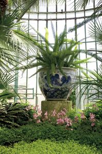 Diana Greenhouse, Serres Royales de Laeken, Brussels, Belgium  2013 © Mireille Schellhorn