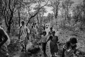 Human & Tiger Conflict