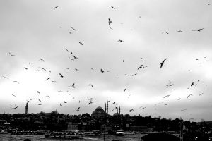 AL-BATIN_THE-HIDDEN_10