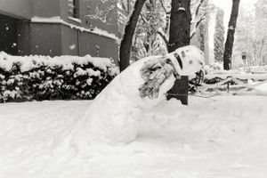 Life of a snowman (2)