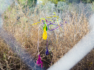 It happened to yellow, pink, purple, and green