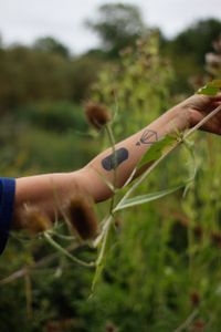 Aulnay-la-Rivière, 2018