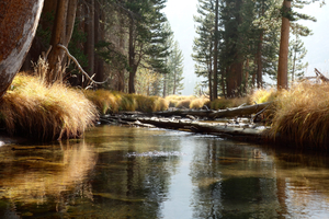 Horsetail Creek