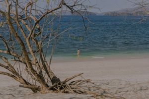 From this shore.