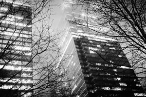 Cloud Park