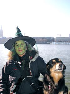 "Dreaming of Dumbledog"