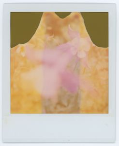 Ghost Iris