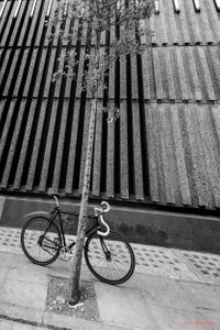 Bicycle parked in Soho, London | 01