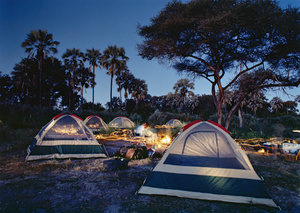 African Nights