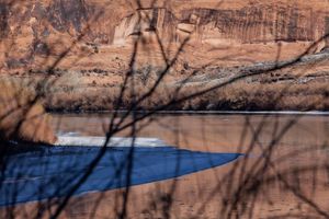 Surfaced Winter